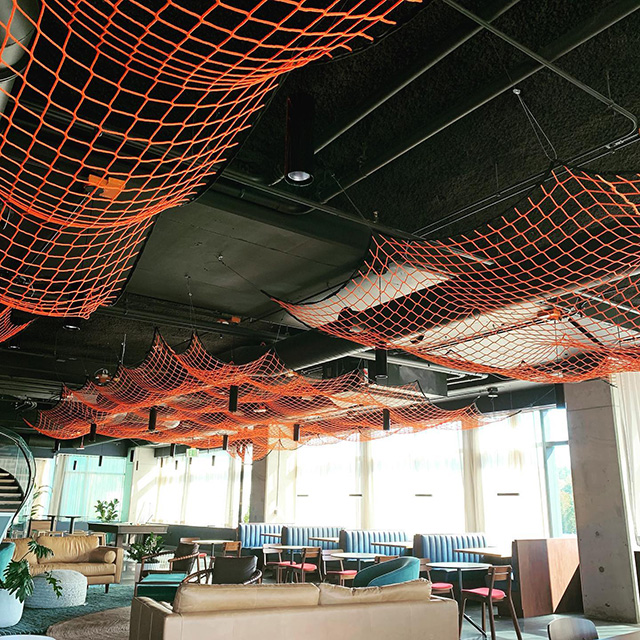 Ceiling Net At Google Seattle Office