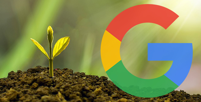 Google Says Rolling Out An Algorithm Update Is Like Planting Seeds In A Garden